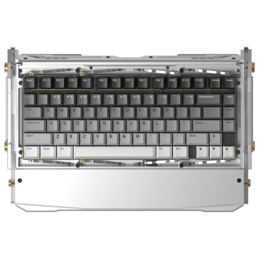 DRY STUDIO Black Diamond 75% RGB Wireless Mechanical Gaming Keyboard, 2.4G 2ms Latency, Tri-Mode Connection, Leaf Spring Mount, Custom Internals, Hotswapable Switch